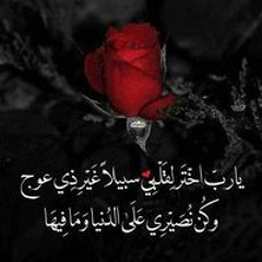 Fatin Abd Alhalim