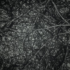 Brainzer