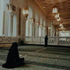 أروى