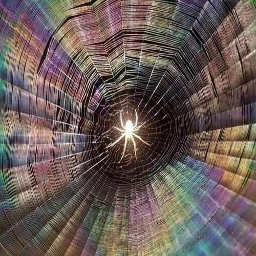 Eric Dingus - Good Morning