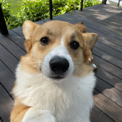 owen