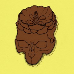 Skull Samples