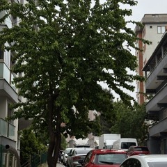 Eleni - Krimata (Yazık) | Ava Yaman - κρίματα | Taşacak Bu Deniz.mp3