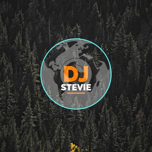 DJ Stevie’s avatar