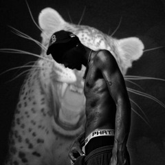 nardo$ reign