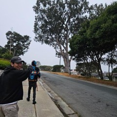 Tripppyyy