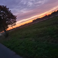 H_A_Z_E882097