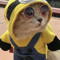 minion