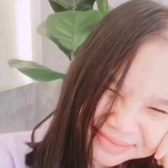 pi_ploy