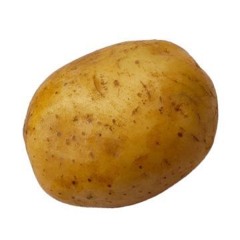 TATO!