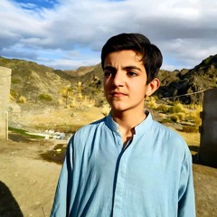 Muhammad Aryan
