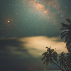 The Night Beach