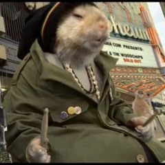 pjcamoflagedchameleon