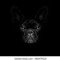 DIggy doG