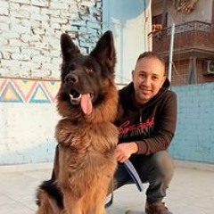 Ahmed Eldakhakhny