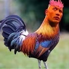 ‎