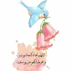 ʚĩɞ Lolyta ʚĩɞ
