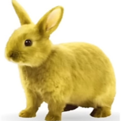 neufriend
