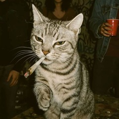 Tobii420.