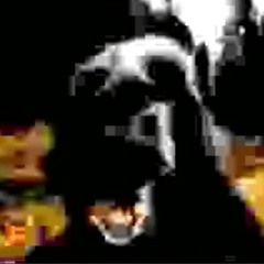 JACKN07