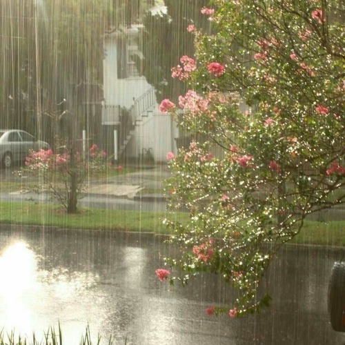 أناشيد الطفولة ♥ ♡ :-)