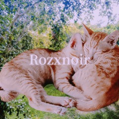 Rozxnoir