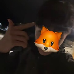 Ali🥷🏼🐺🇸🇾