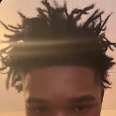 z0n1