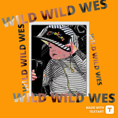 WILD WILD WES VOL.1