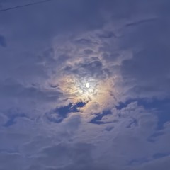 ShizoGrach