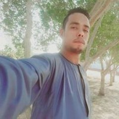 محمود العبادي