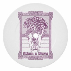 Adam & Steve