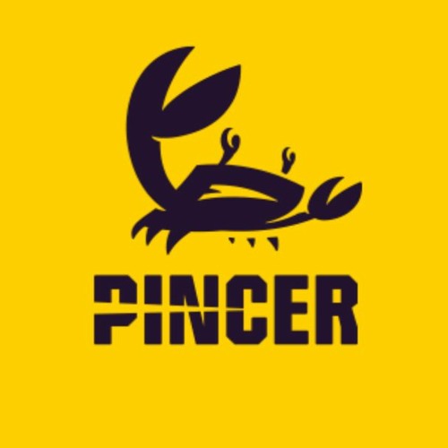 PINCER’s avatar