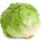 lettuce