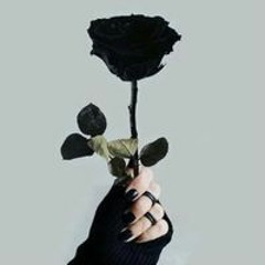 Raghad Khanfar