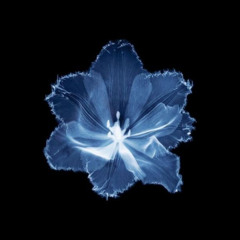 ø𝔩𝔦𝔳𝔢𝔯