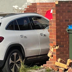 Hot Mustard and the Chistmas custard