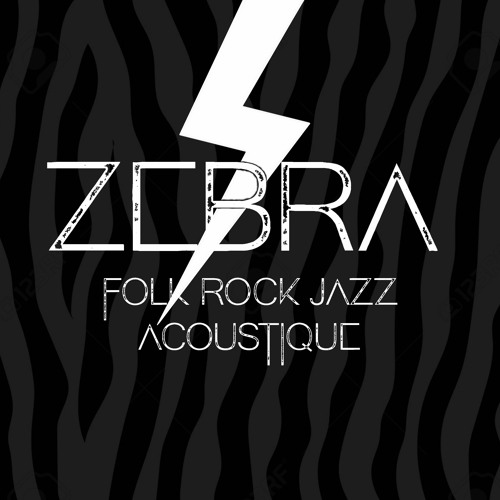 ZEBRA - Folk Rock Acoustique - Duo / Trio’s avatar