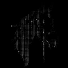 Stallixiloxonic (DNS BEATS)