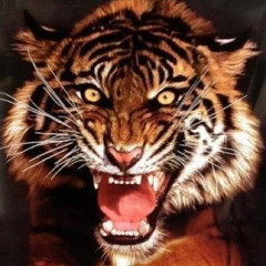 T walshe/ jungle dnb