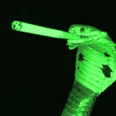🦎S_S🦎