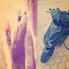 ‧₊ jessejo14