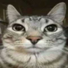 Макит