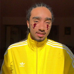 Acejr819