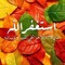abu ishaaq