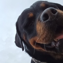 Baron Skii