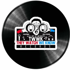 TwWk Records #TheyWatchWeKnow