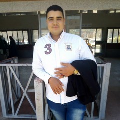 عادل.محمد بكرى