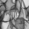 LDNX