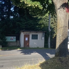 stalezeleny adolescent